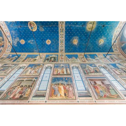 Italy-Padua-Scrovegni Chapel Ceiling with frescoes painted by Giotto in the 14th century